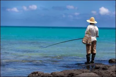 Qui a chanté "Je rêve d'eau Mais d'océan Ah ! l'océan Pêcher des poissons dedans" ?