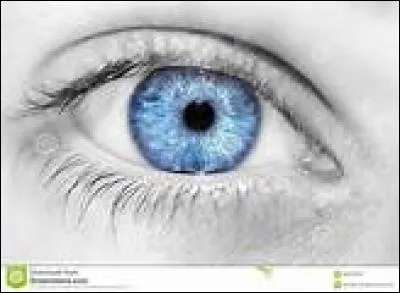 Que signifie l'expression "avoir le nez creux" ?