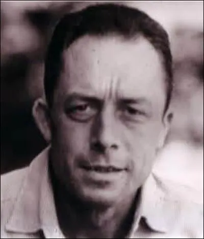 Qu'est ce qu'un nez camus ?