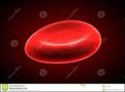 Comment appelle-t-on communément une épistaxis ?