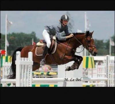 Quel est ce poney qui mesure entre 1 m 30 et 1 m 45, qui est un très doué pour les cso.