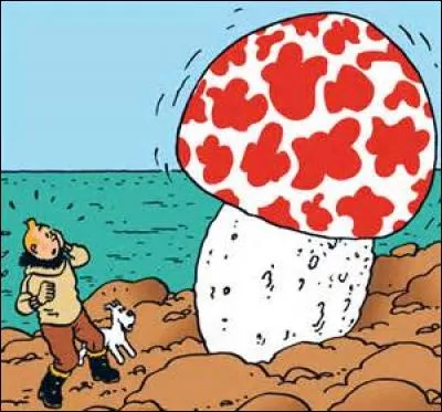 De quelle bande dessin&eacute;e "l'Etoile myst&eacute;rieuse" est-il un album ?