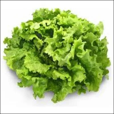 Quel est ce légume ?
