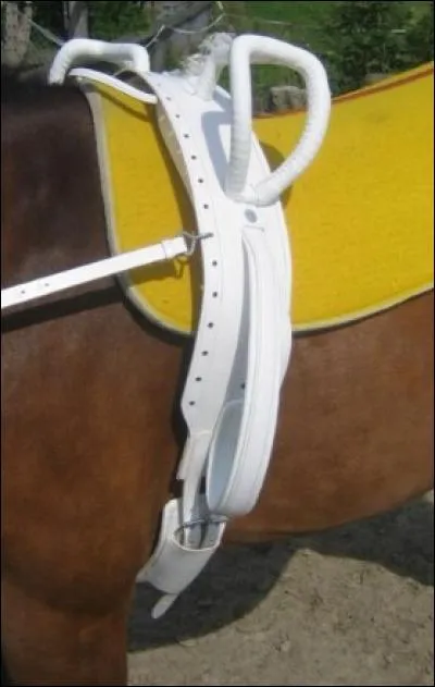 Comment s'appelle cette partie de l'arnachement que l'on utilise pour la voltige ?