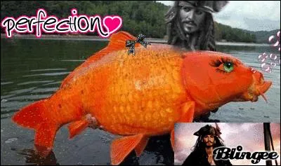 Dans le jargon de la police, que signifie " attraper un gros poisson " ?