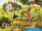 Quiz Observation 5 :  la campagne
