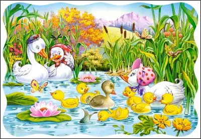 O&ugrave; est le papillon que regarde un caneton jaune ?