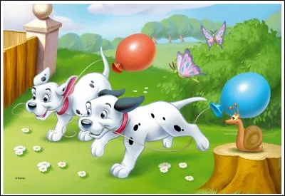 Quel chien emporte le ballon bleu ?