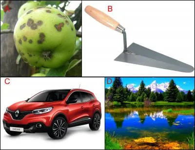 L'anagramme du mot « Naturel » est représentée en :