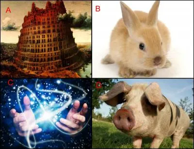 La solution de l'énigme « Il est aimé de la tête aux pieds, mais ses tours sont détestés » se trouve en :