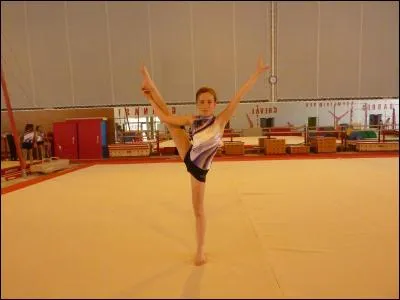 Sur quel agrès peut-on faire le Y ?