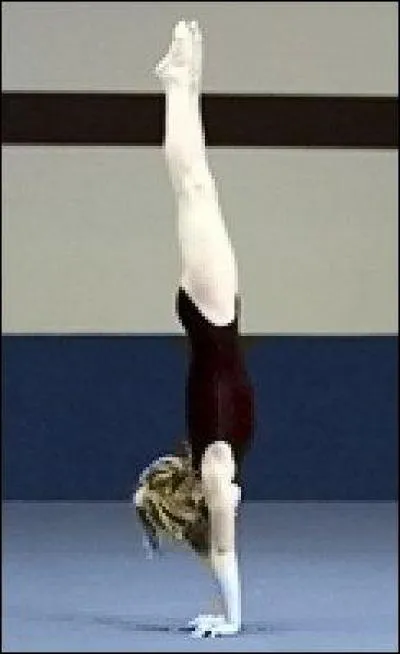 Sur quel agrès peut-on faire l'A.T.R ?