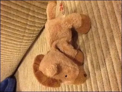 Comment s'appelle ce type de jouet ?