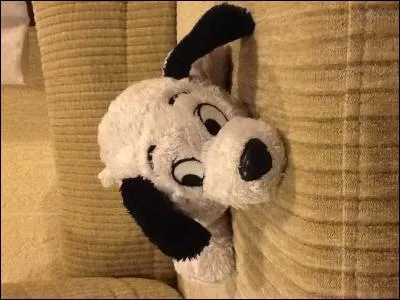 Dans quel film y a-t-il ce chien ?