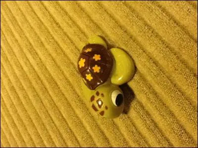 Dans quel film y a-t-il cette tortue ?