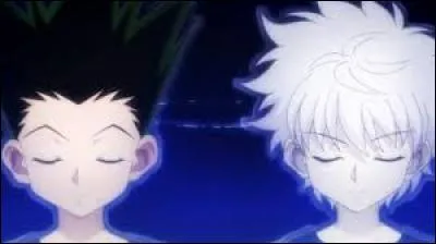 Qui a enseigné le nen à Gon et Kirua ?