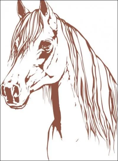 Comment s'appellent les "cheveux" du cheval ?