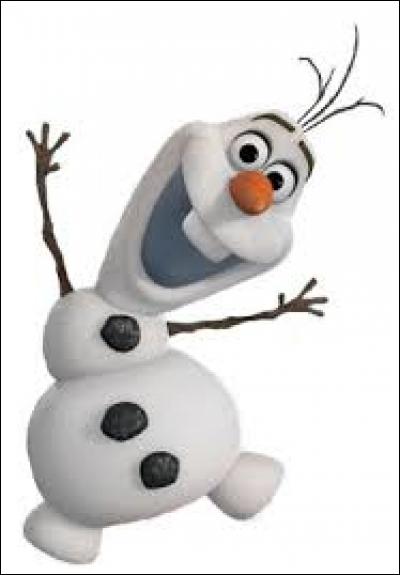 Qu'aime Olaf ?