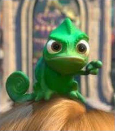 Qui est le meilleur ami de Raiponce ?