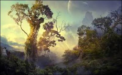 Comment s'appelle la déesse des Omaticayas ?