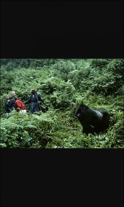 Quelle est sa taille et quel est son poids ?