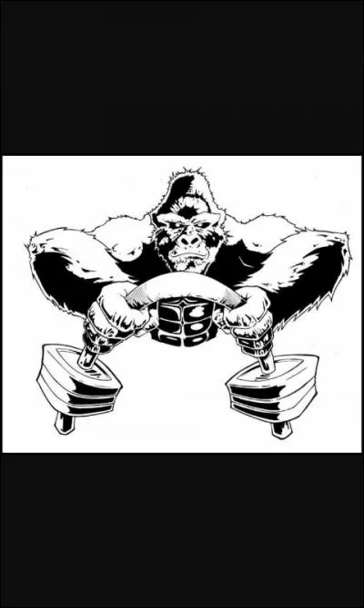 Le gorille peut soulever jusqu'à :