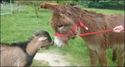 Avez vous aimez le quiz ? Toute réponse possible