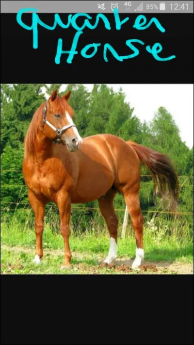 Quelle race existe vraiment ?