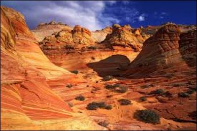 Bonjour, je m'appelle Quanah, je viens des États Unis, mon ethnie fait partie des peuples amérindiens, nous nous situons dans l'actuel Texas. Mon ethnie est celle des :