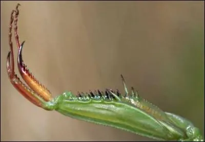 Trouvez la réponse en un éclair !