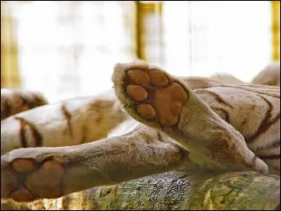 Trouvez le nom du dormeur !