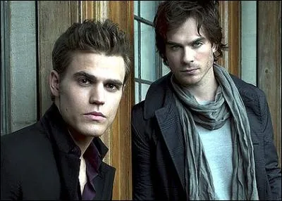 Combien y a-t-il toujours de frères Salvatore ?