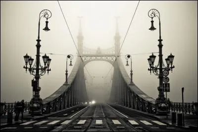 Ce pont-là est, lui aussi, chargé de symboles : c'est le "Pont de la Liberté" : où est-il ?