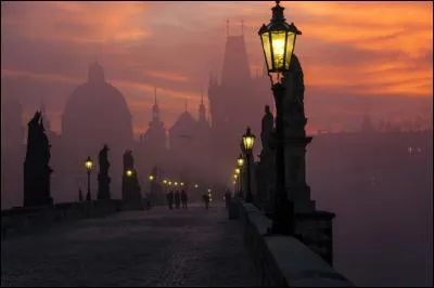 Ce célèbre pont de Prague, quand tombe le soir, nous rend d'humeur romantique... "Tu parles, ----- ! " (Complétez avec son nom ! )