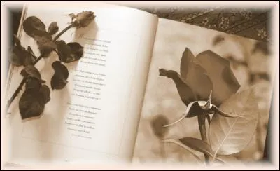 De quel recueil est issu l'extrait de ce poème "Ô doute l'âme plonge et rapporte le doute", écrit par Victor Hugo ?