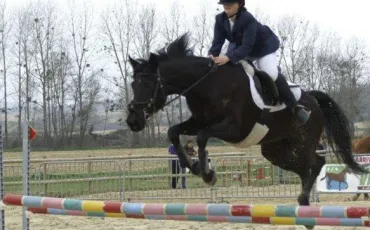 Quiz Galop 2