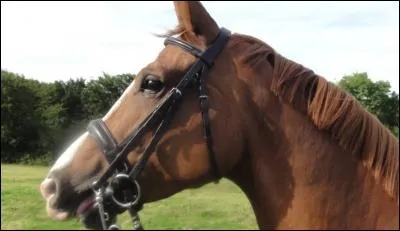 Qu'est-ce qu'un doublé ?