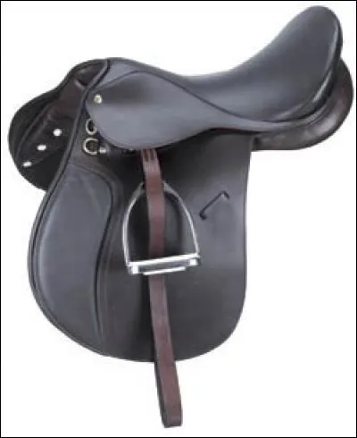 Quel type de selle n'existe pas ?