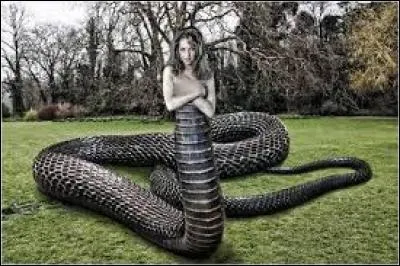 Échidna est une créature étrange mi-femme, mi-serpent. Certaines disent que sa mort est survenue grâce à Argos, un berger avec cent yeux, qui a ainsi permis à l'Arcadie de se relever. Quel est l'autre nom de ce monstre ?