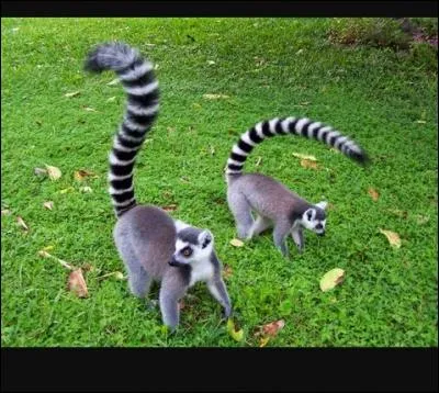 Quel nom donne-t-on à celui-ci ?