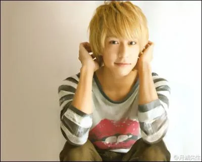 Dans quel clip Hikaru Yaotome est-il teint en blond ?