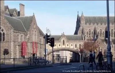 Comment se nomme la cathédrale reliée à Dublinia ?