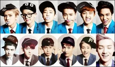 Qui sont les membres d'EXO-K ?