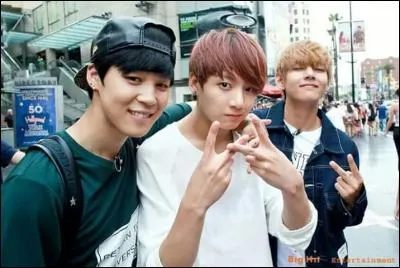 Quels sont leurs surnoms ?