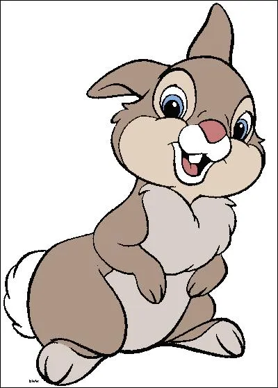 Comment s'appelle-t-il ?