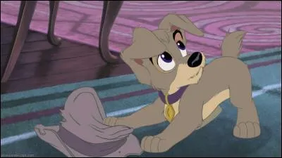 Comment s'appelle-t-il ?