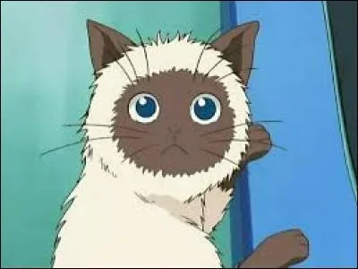 Comment s'appelle son chat ?