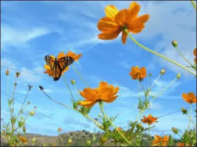 Combien y a-t-il de jours dans le mois d'avril ?