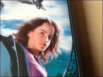 Qui est ce personnage ?