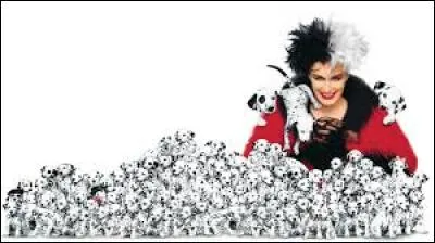 Quel est le nom de ce film ?